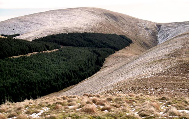 Capel Fell, Loch Fell and Crofthead Round 05