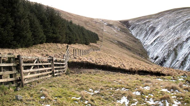 View of fence line running up onto Capel Fell.
