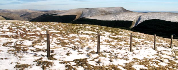 View of Ettrick Pen from Capel Fell.