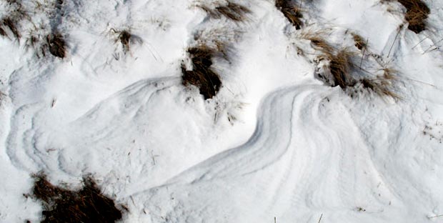 Wind impressions in the snow.