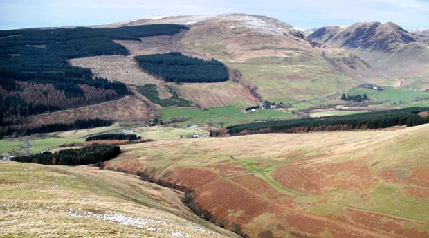 View into Moffatdale while descending from Crofthead.