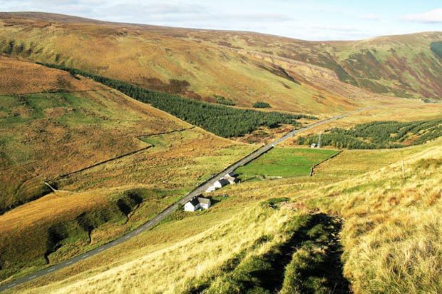 View of Birkhill cottage by the A708.