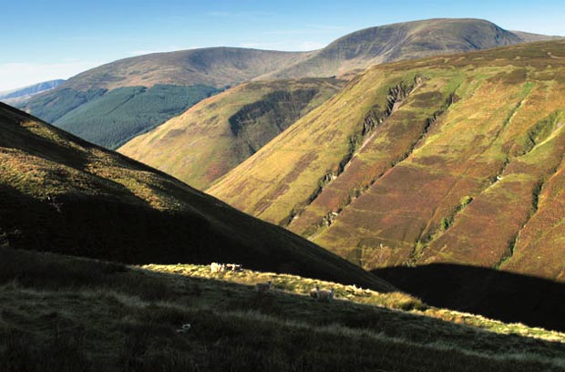 White Coomb, Bran Law and Watch Knowe from Trowgrain Middle.