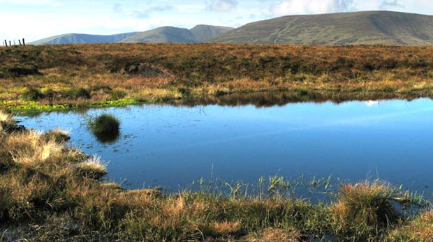 Black Craig, Saddle Yoke, and Carrifran Gans from Andrewhinney Hill