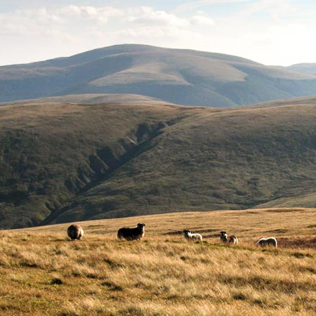 View of Ettrick Pen from Andrewhinney Hill.