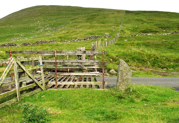 View of the Megget Stane.