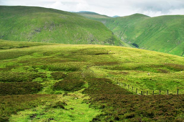 View of the route up onto Broad Law with the Moffat Hills beyond.