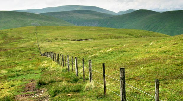 View of the Moffat Hills from near the top of Broad Law.