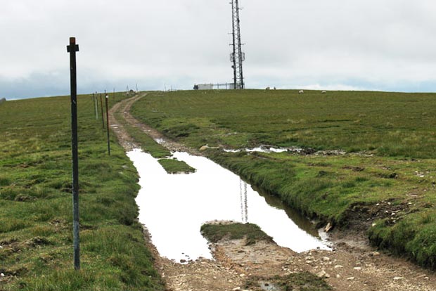 View of the top of Broad Law.