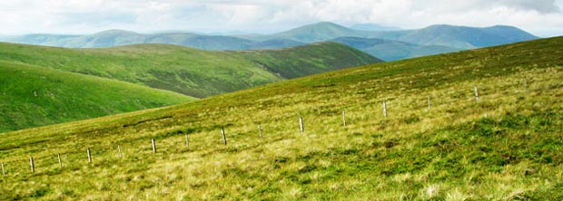 Tinto Hill from Cramalt Craig.