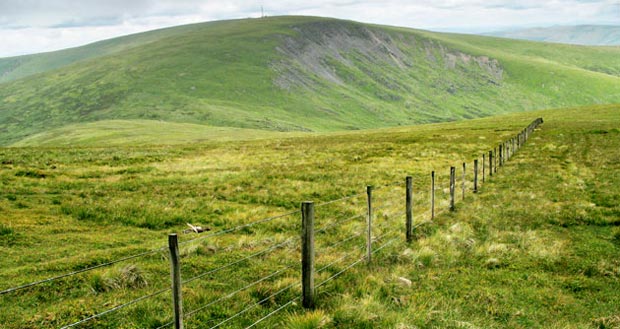 View of Broad Law from Cramalt Craig.