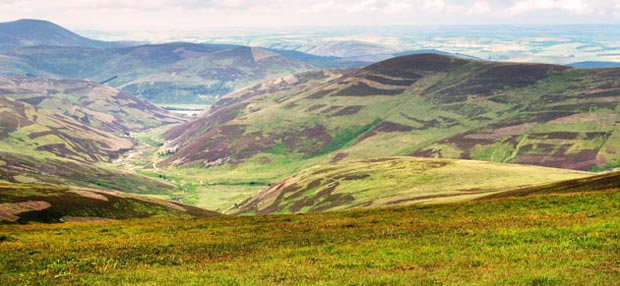 Valley of the Stanhope Burn.