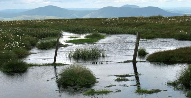 View of Tinto Hill and the Culters from Cramalt Craig