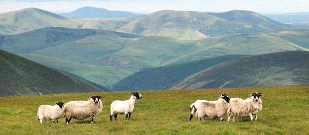 View of Tinto Hill and the Culters.