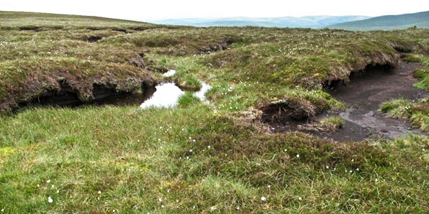 Peat hags on Tods Knowe