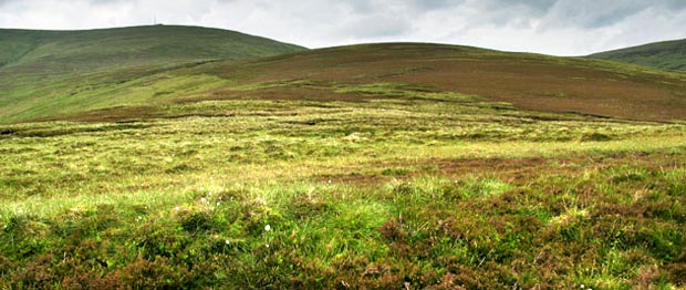 View back up Tods Knowe to Broad Law.