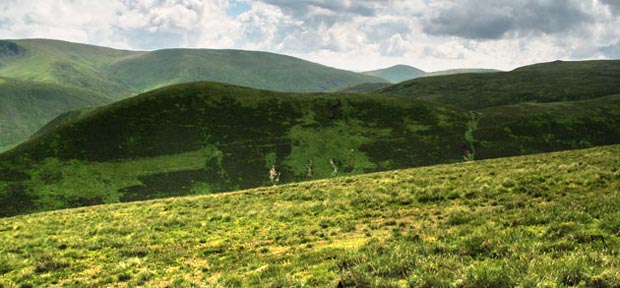 Moffat Hills from Craig Head