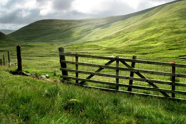 View of Nickie's Knowe and Dead For Cauld.