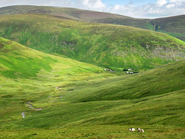 View of Meggethead Farm, Craig Head and Cramalt Craig from Nickie's Knowe.