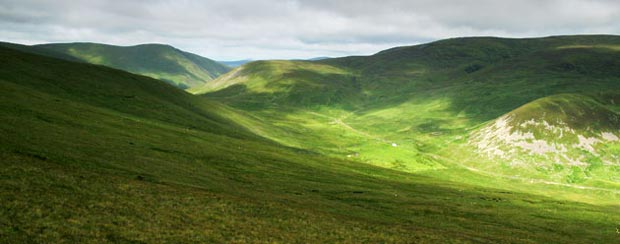 View towards the Megget Stane from Nickie's Knowe.