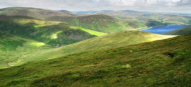 View back to Dead for Cauld and the Megget reservoir from Nickie's Knowe.