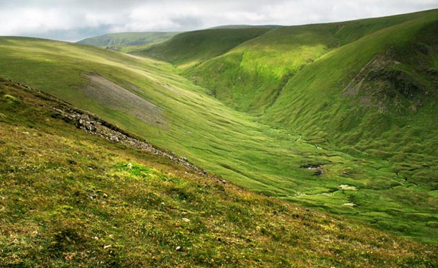 View of the valley of the Talla Water Burn from Nickie's Knowe.