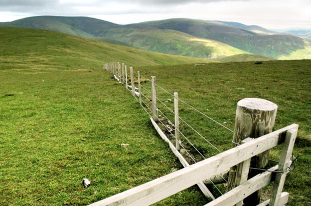 View of Broad Law and Cramalt Craig from Talla East Side.