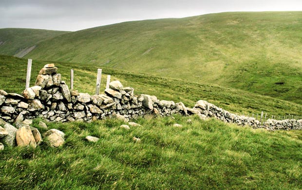 View of Talla East Side from Firthybrig Head.