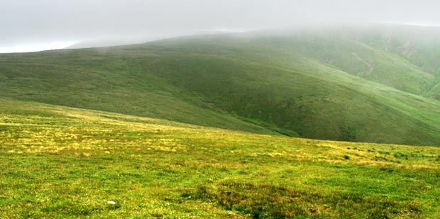 Firthybrig Head in mist from Moll's Cleuch Dod.