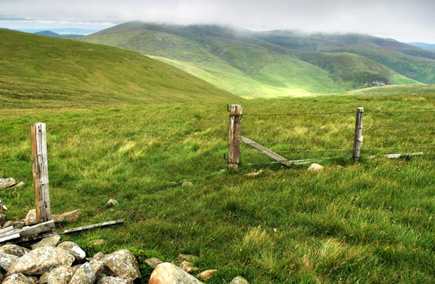 View of Broad Law and Cramalt Craig (in mist) from Moll's Cleuch Dod.