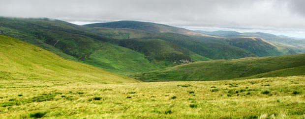 View of Broad Law and Cramalt Craig from Moll's Cleuch Dod.