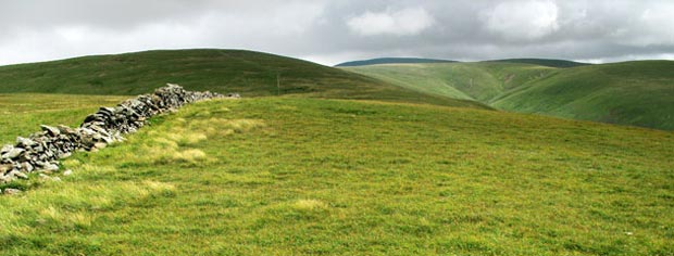 View back to Moll's Cleuch Dod and White Coomb from Carlavin Hill