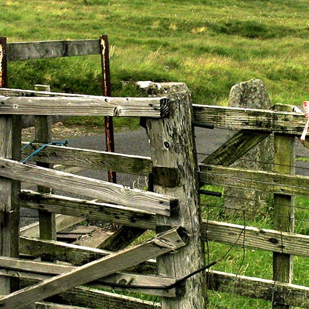 Detail showing the Megget Stane.