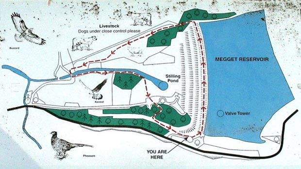 Layout of the dam.