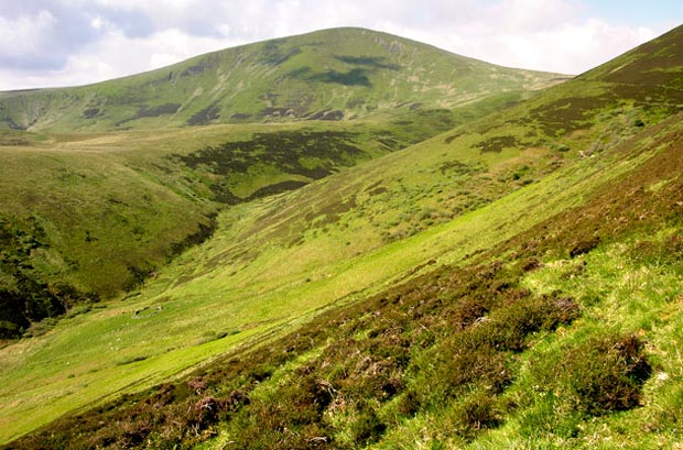 Culter Fell and Congrie Hill from Chapelgill Hill.