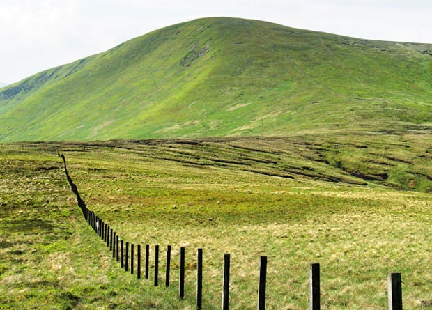 View of Culter Fell from King Bank Head