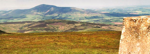 Tinto Hill from the trig point on Culter Fell.