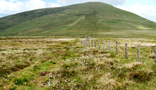 View of Culter Fell from Moss Law.