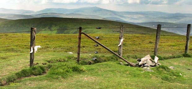 View of the Lowther Hills from the top of Gathersnow Hill.