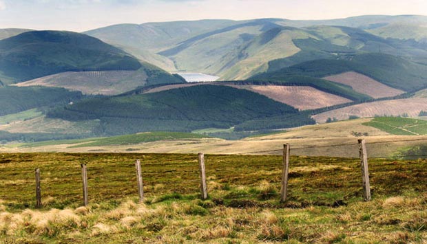 View of Talla reservoir from the top of Gathersnow Hill.