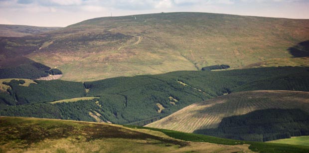 View of Broad Law from the top of Gathersnow Hill.