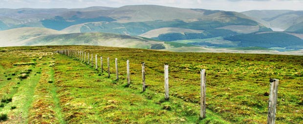 View of Broad Law and Talla reservoir from the top of Gathersnow Hill.