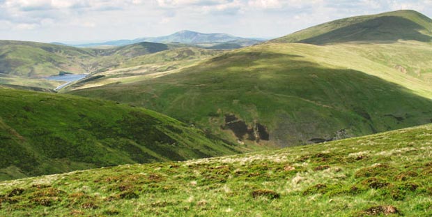 View of Tinto Hill and Culter Fell from the top of Gathersnow Hill.