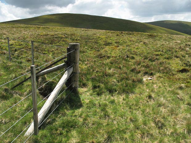 View of Gathersnow Hill from Coomb Head.