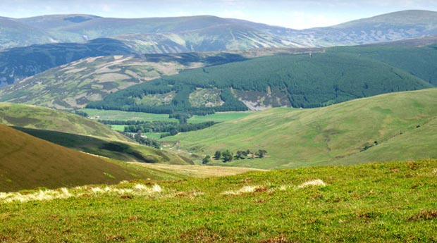 View from Coomb Hill down the Lindore Burn into the valley of the Tweed with the north Manor hills beyond.