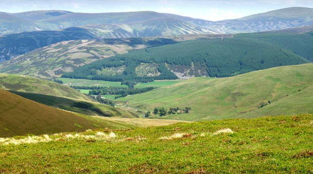 View down the Lindore Burn into the valley of the Tweed from Coomb Hill.