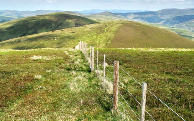 View towards Broomy Law and Glenlood Hill from Coomb Hill.