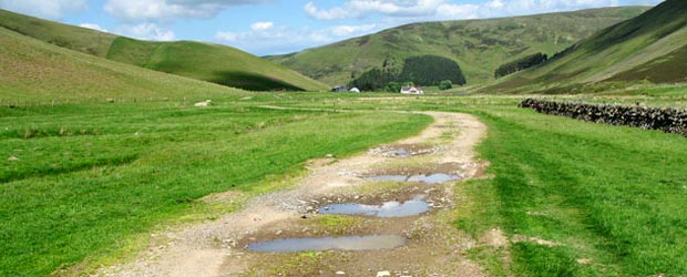 View towards Glenkirk from Holms Water valley.