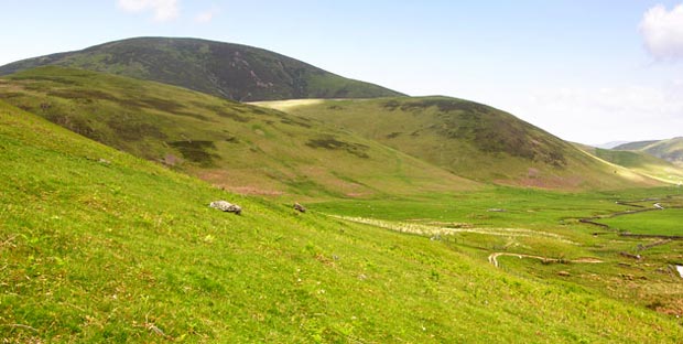 Congrie Hill and Chapelgill Hill from Glenholm.