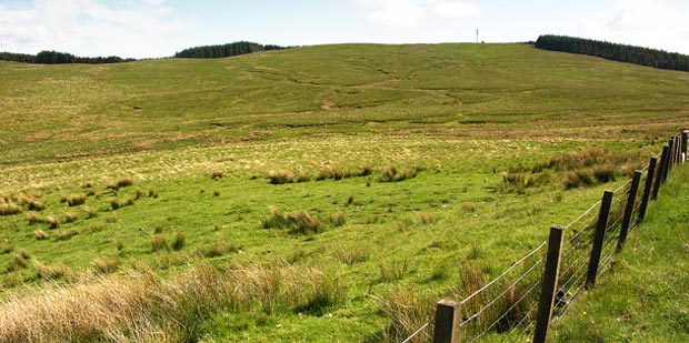 View of moor where the river Tweed rises.